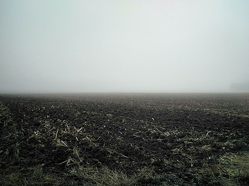 niebla