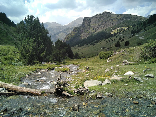 vaye2