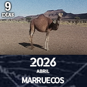 mapman.es